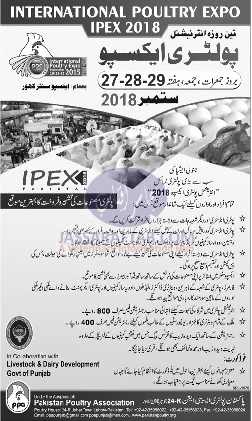 AD of Poultry Expo 2018