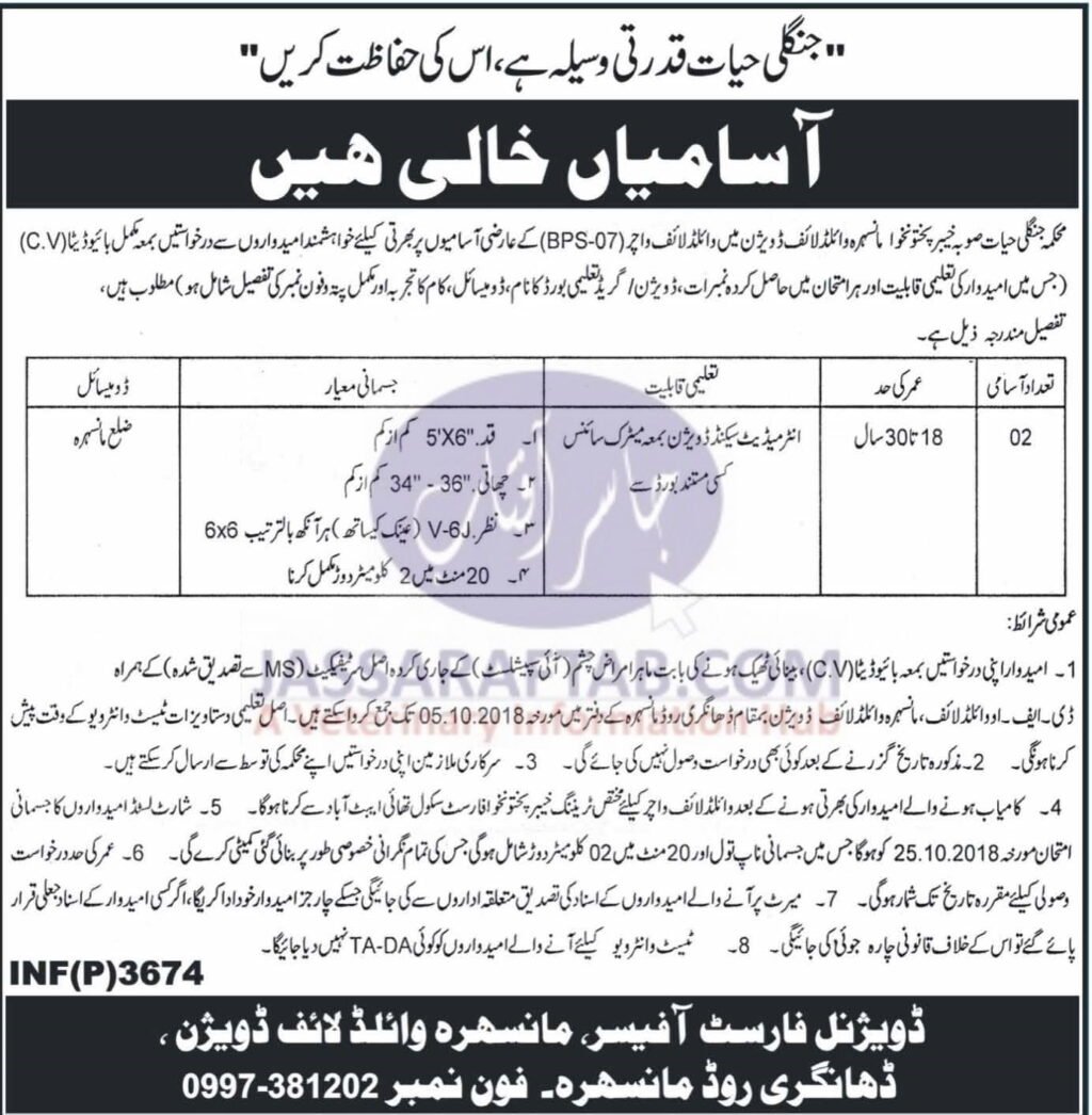 Wildlife watcher job