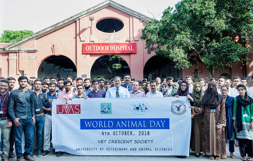 ویٹرنری یونیورسٹی میں حیوانات کا عالمی دن منایا گیا