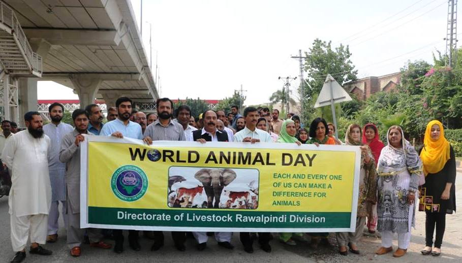 World Animal Day Walk in Rawalpindi