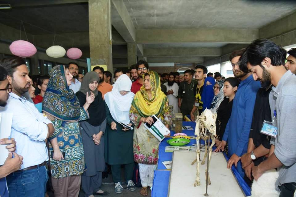 عالمی یوم حیوانات پر آرٹ اینڈ لٹریری سوسائٹی کا ویٹرنری فیکلٹی فیصل آباد میں سٹال