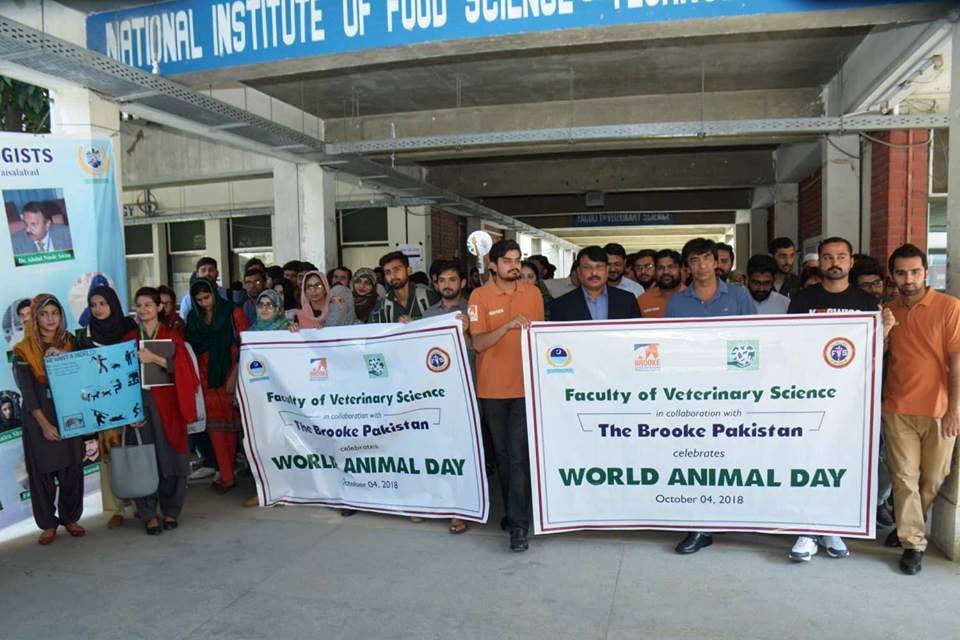 World Animal Day Walk
