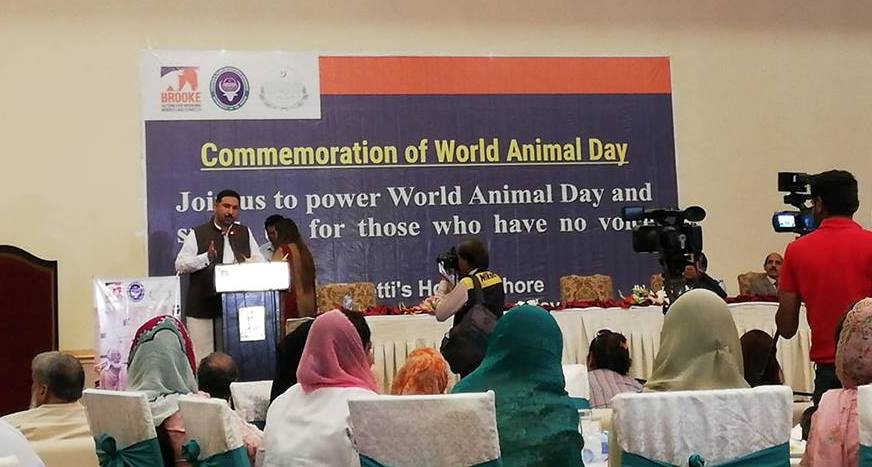 Seminar on World Animal Day by Brooke