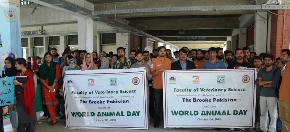 World Animal Day Walk