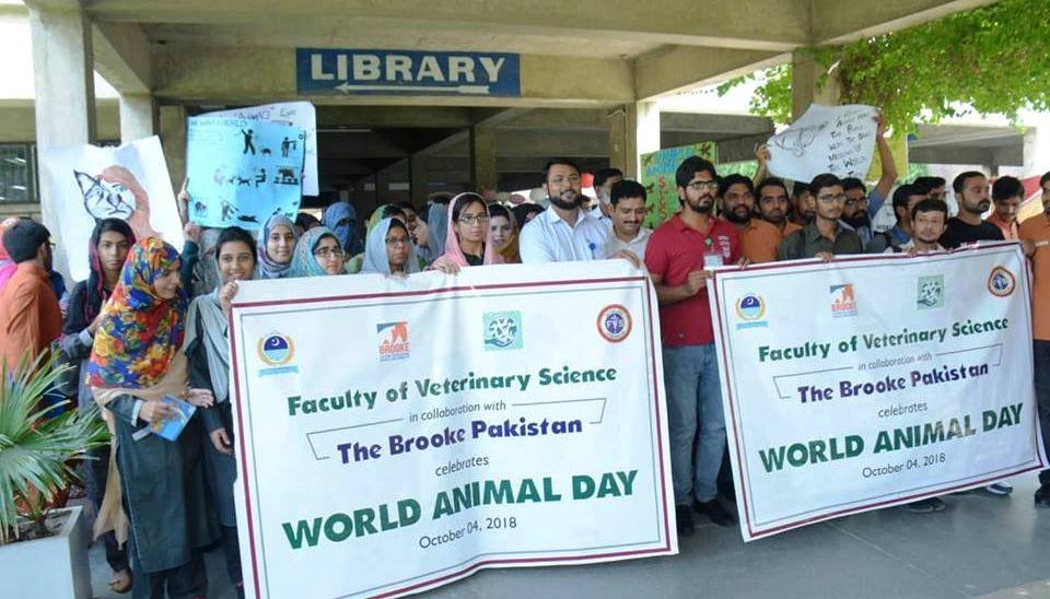 World Animal Day Walk