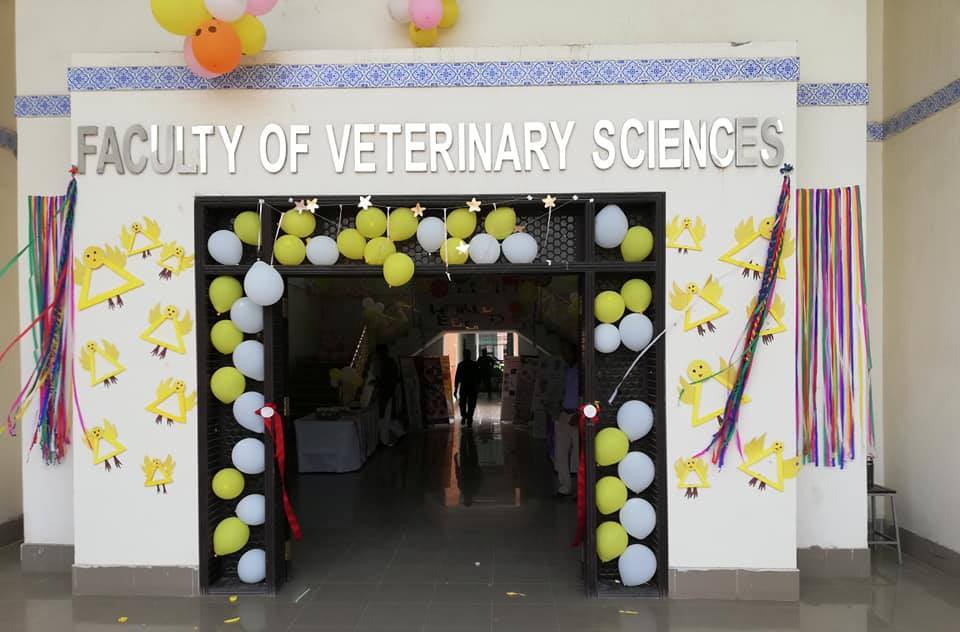World Egg Day celebrated at Faculty of Veterinary Sciences, BZU, Multan