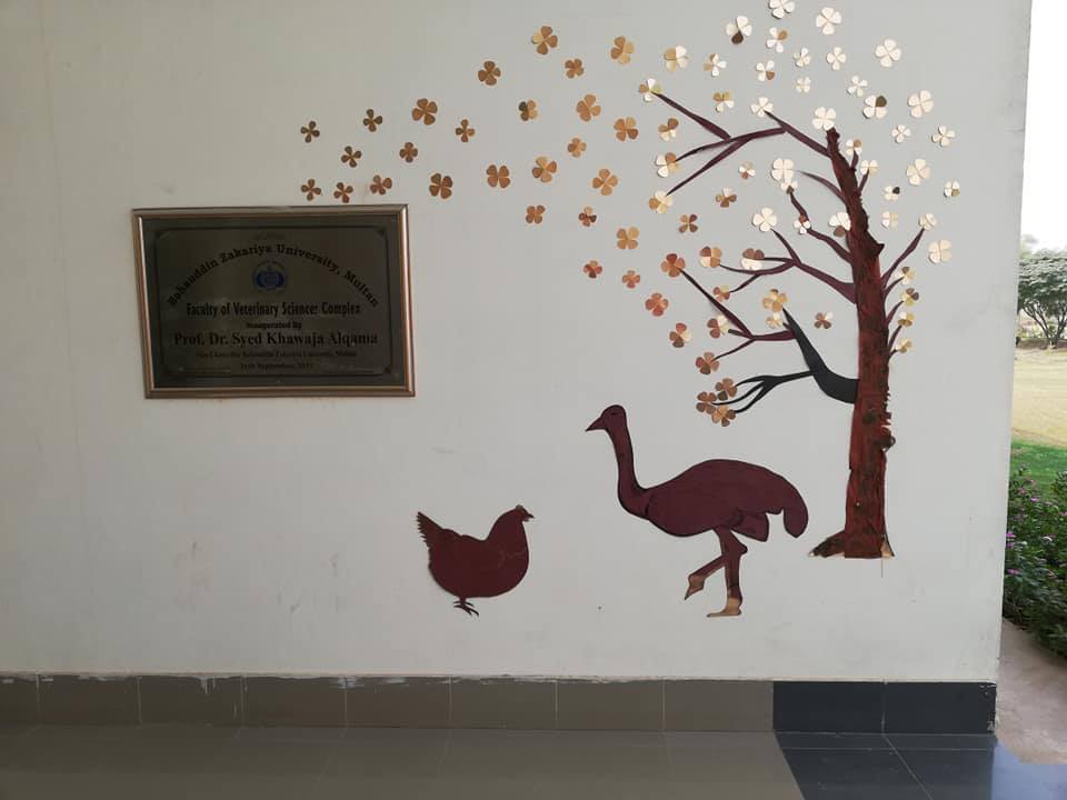 World Egg Day celebrated at Faculty of Veterinary Sciences, BZU, Multan