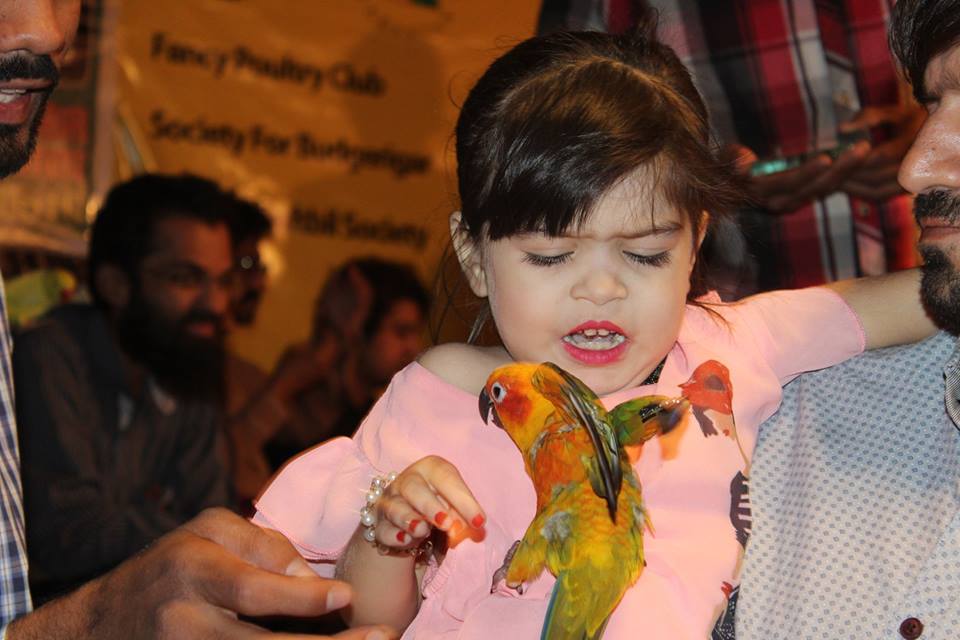 Child playing with Parrot