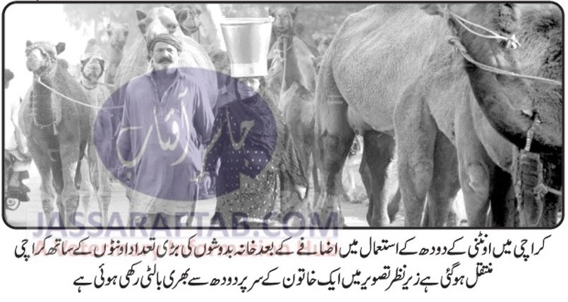 Camel milk in Karachi