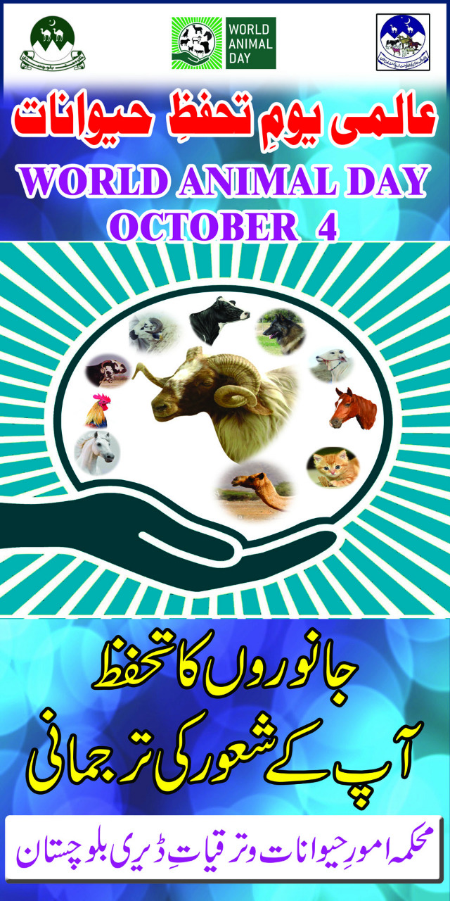 World Animal Day in Balochistan