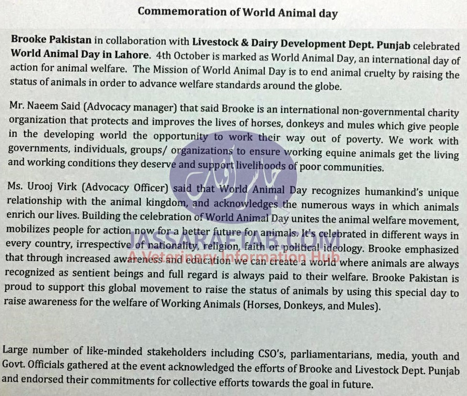 Brook Lahore world animal day