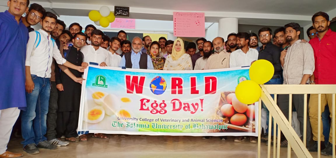 Egg Day Veterinary Colleg Bahawalpur