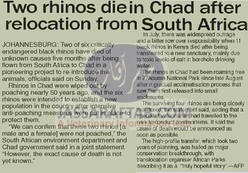 Rhinos death in chad