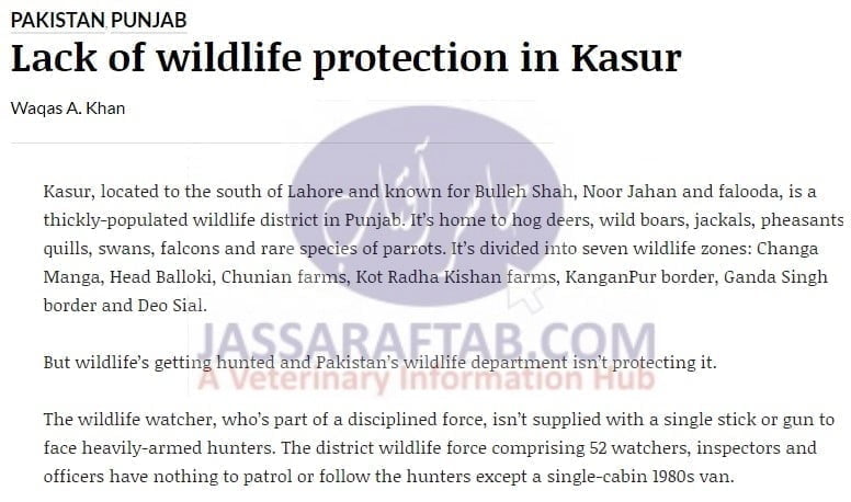 Wildlife in Kasur. Lack of Wildlife protection in Kasur