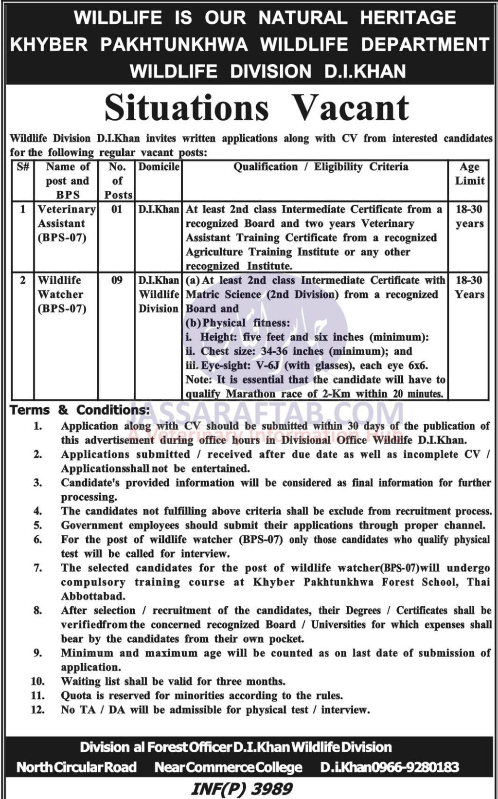 Jobs for Veterinary Assistant