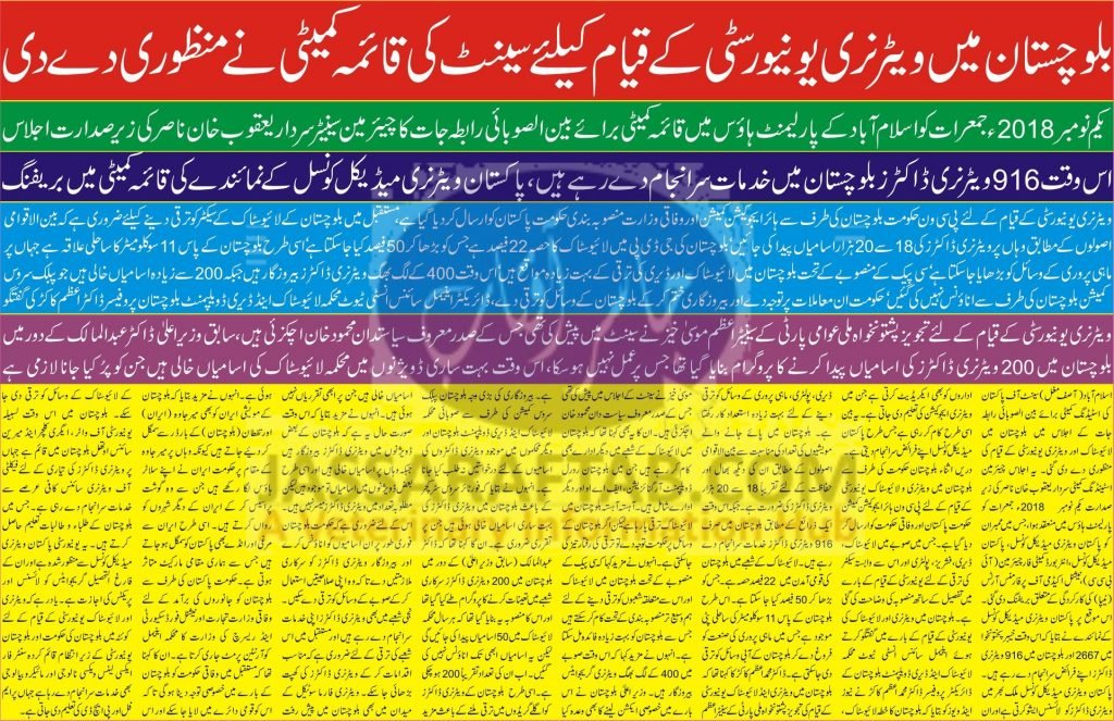 Veterinary university in balochistan