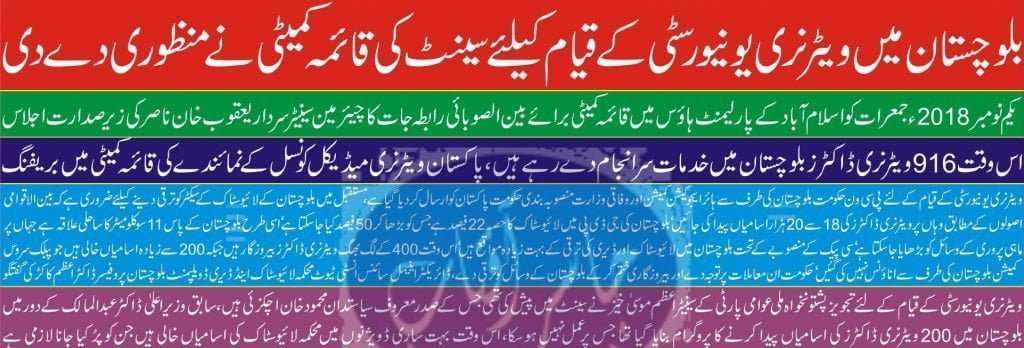 Veterinary university in balochistan