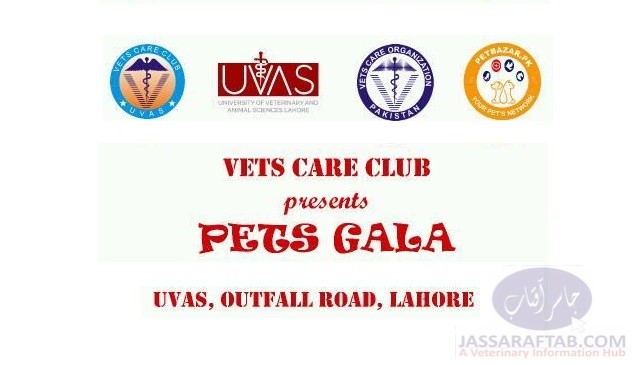 Pets Gala of UVAS