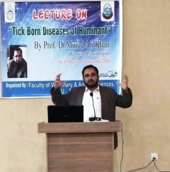 Prof. Dr. Murad Ali Khan 