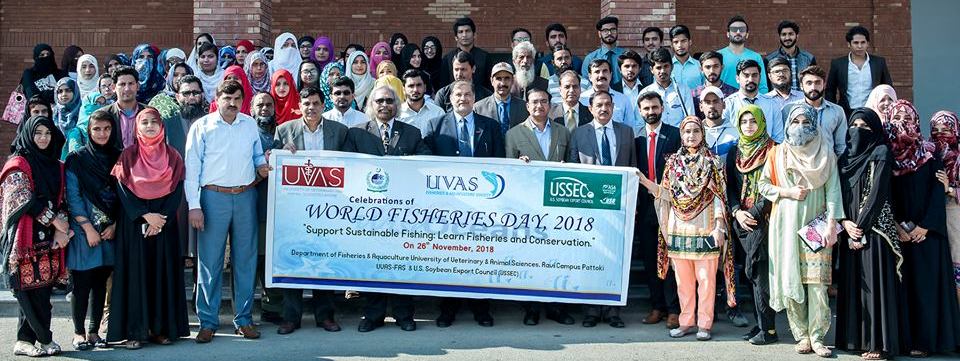 World fisheries day celebrated at UVAS
