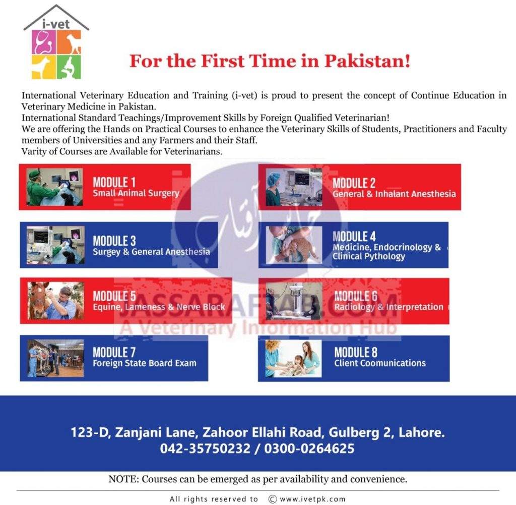 International Veterinary Training in Pakistan