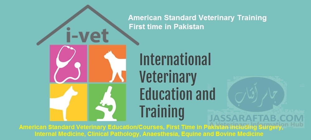 International Veterinary Education and Training