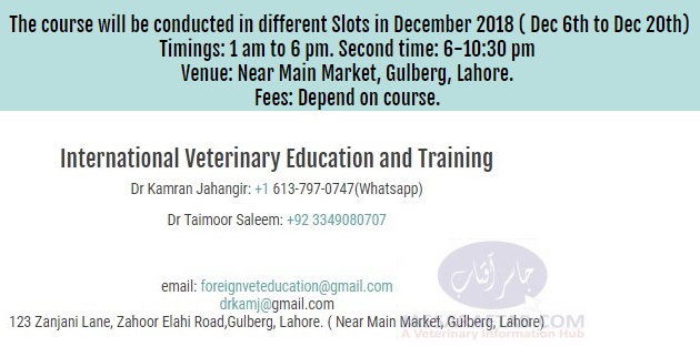 International Veterinary Education and Training cetnre address