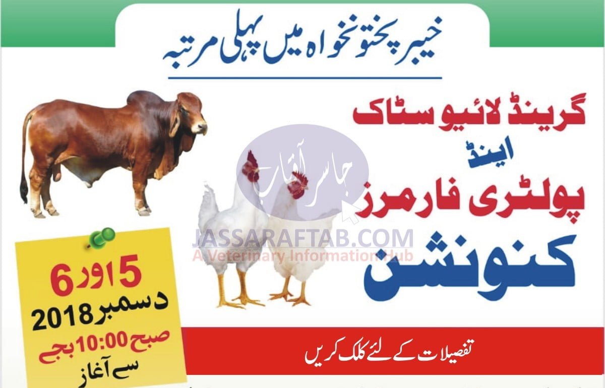 Livestock and Poultry Convention