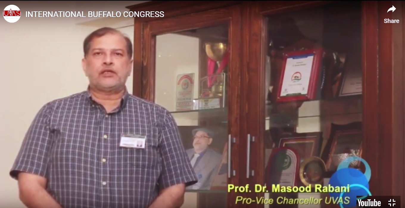 Prof. Dr. Masood Rabbani