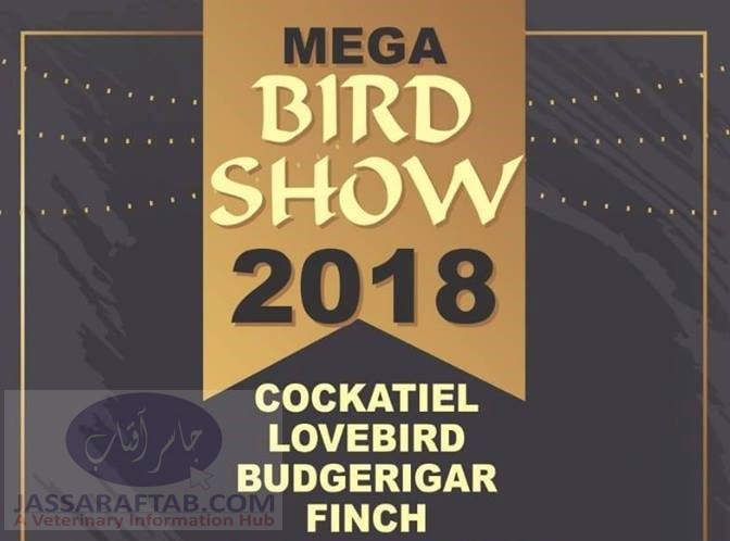 Mega bird show in Lahore Zoo