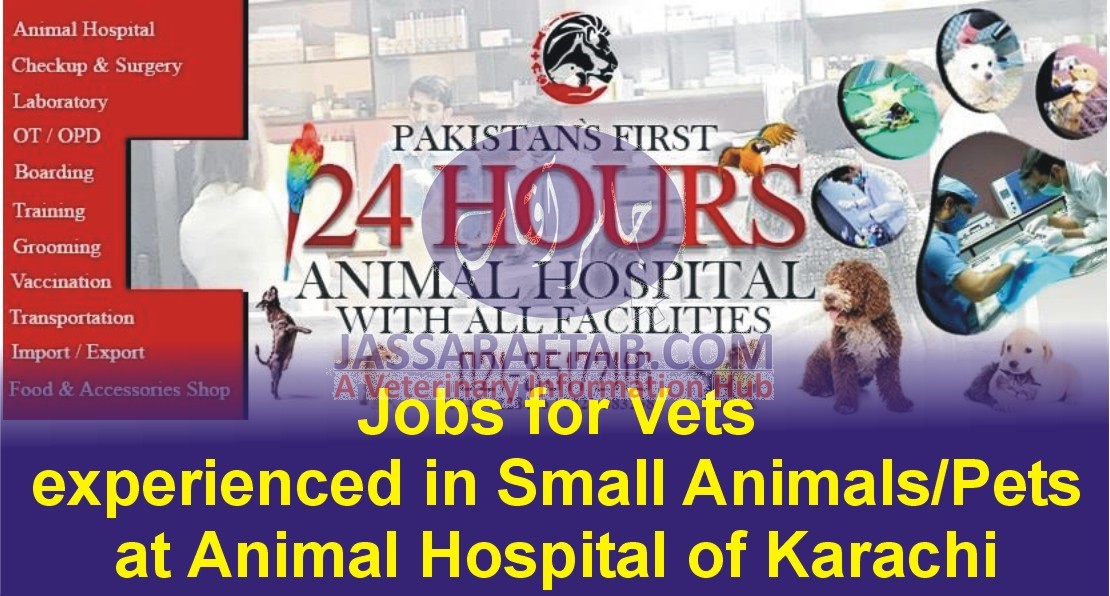 ویٹرنری پروفیشنلز کے لئے کراچی کے ہسپتال میں ملازمت کے مواقع