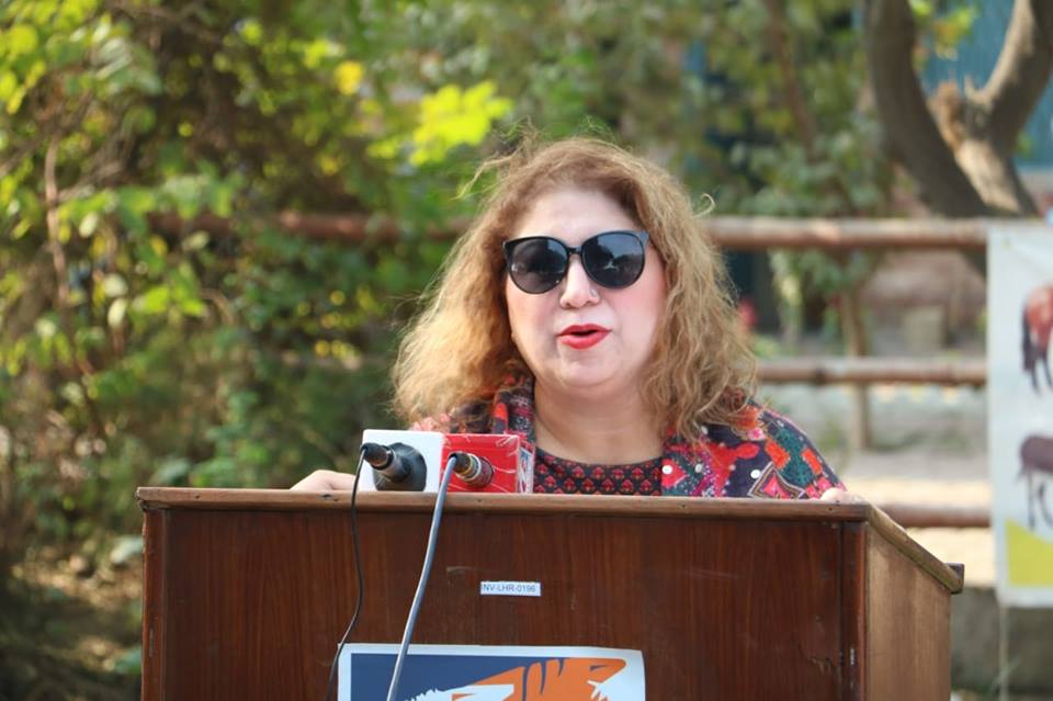 Sadia Sohail Rana