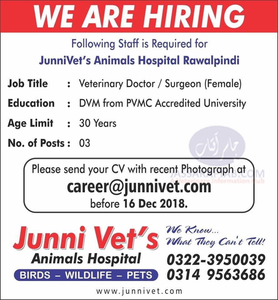 Jobs for lady vets at Animal's Hospital 