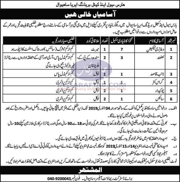 Horse and Mule Breeding Area Jobs