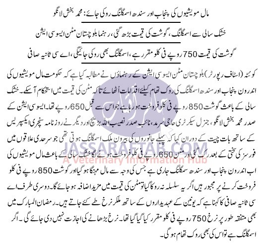 Balochistan Mutton Association demands ban on animals smuggling in Sindh and Punjab