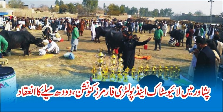 Convention Peshawar Livestock and Poultry