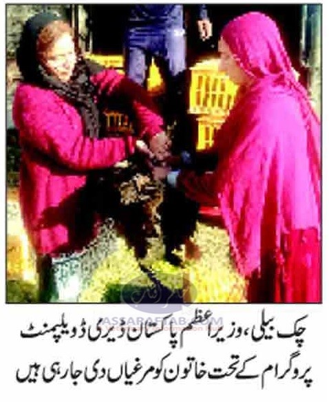 Poultry Distribution in Chak Beli Chakri