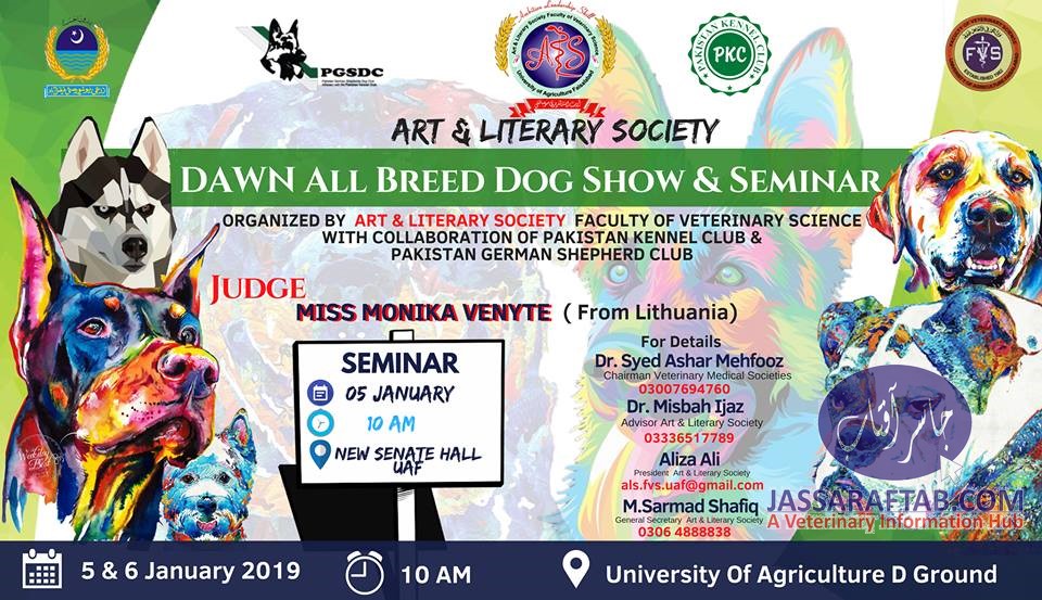 All Breed Dog Show Faisalabad