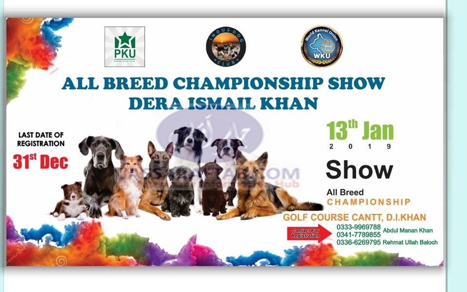 All breed championship show - Dog Show held in Deraa Ismail Khan