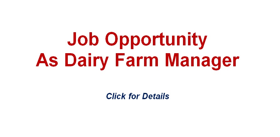 Dairy Farm Manager Job in Multan at al Kareem Dairies