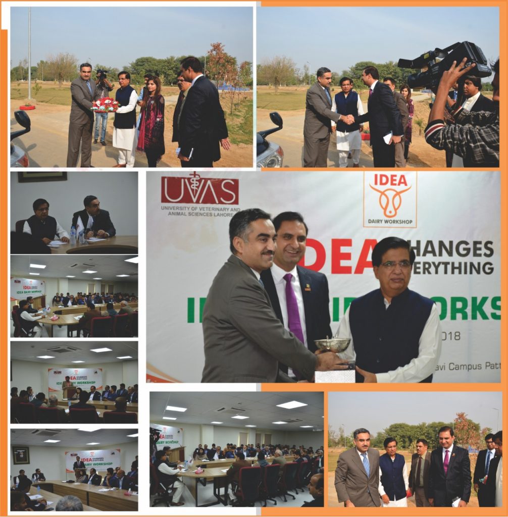 IDEA Dairy Workshop by Alltech Pakistan