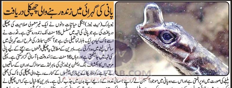 Deep water lizard discovered by researchers of biological sciences