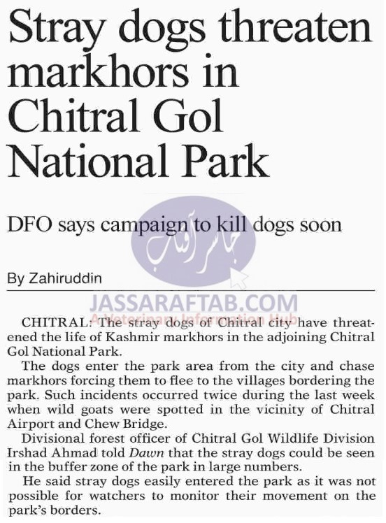 Stray dogs threaten Markhors in Chitral Gol National Park