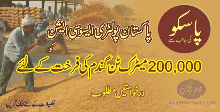 پاسکو کی جانب سے پاکستان پولٹری ایسوسی ایشن کو گندم کی فروخت کے لئے درخواستیں مطلوب
