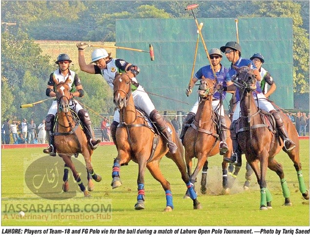 Polo in Lahore