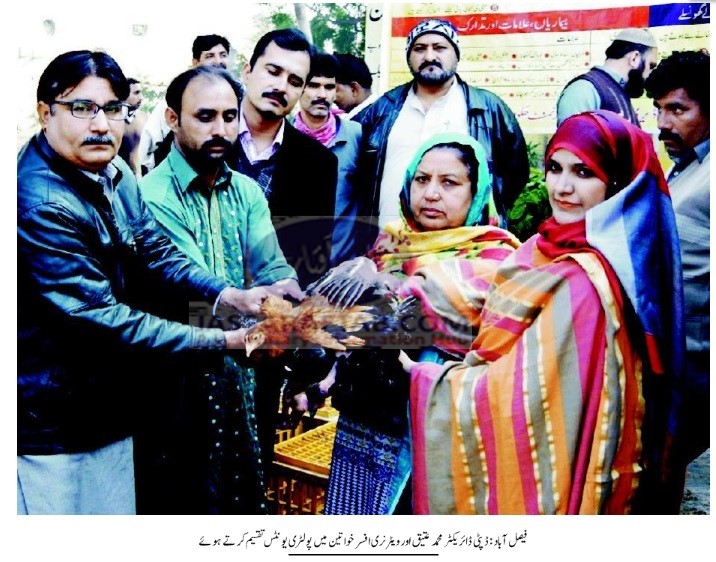 Distribution of Poultry units in Faisalabad 