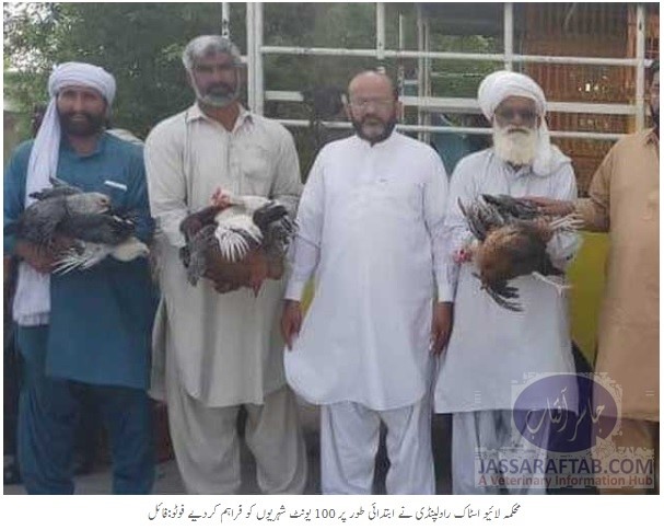 پولٹری منصوبے کے تحت شہریوں کو مرغے مرغیوں کی فراہمی