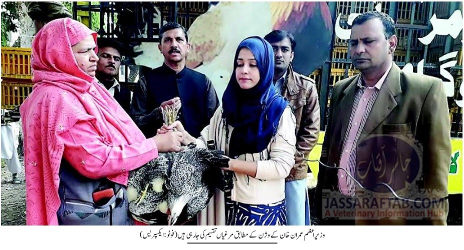 وزیراعظم کے ویژن پر عملدرآمد ، راولپنڈی میں مرغیوں کے 100 یونٹس تقسیم
