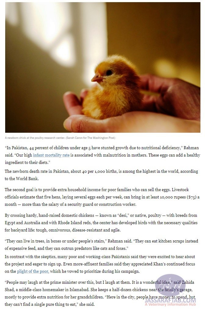 Report on Backyard Poultry Farming