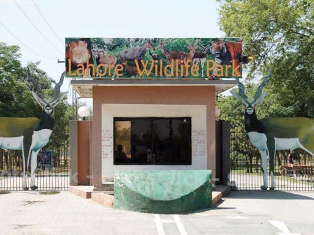 Development projects of Lahore Safari Zoo